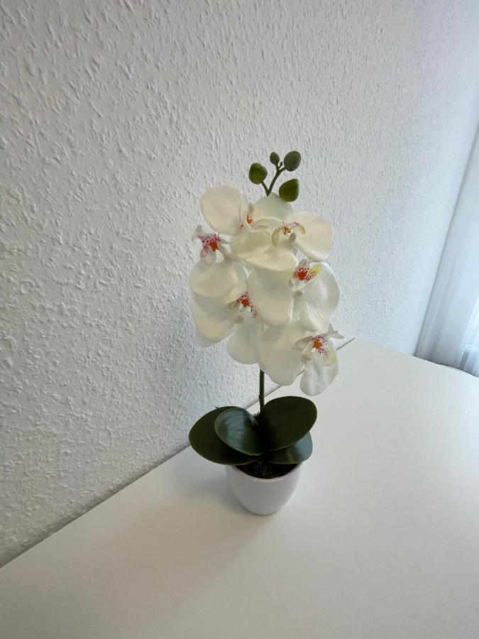 Lucky Stays Ls07 - Vollausstattung - Zentrum - Aufzug - Grosse Kueche - 2 Zimmer - Smart-Tv Magdeburg Eksteriør bilde